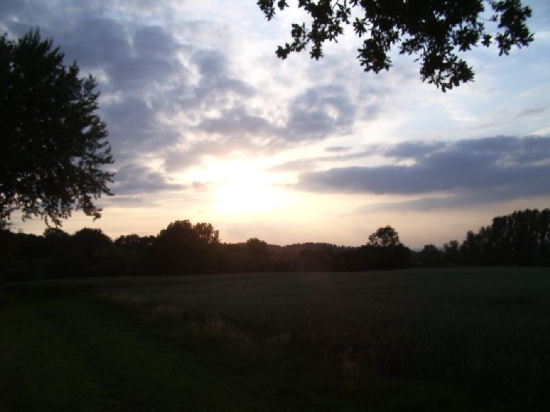 2011- 266.jpg